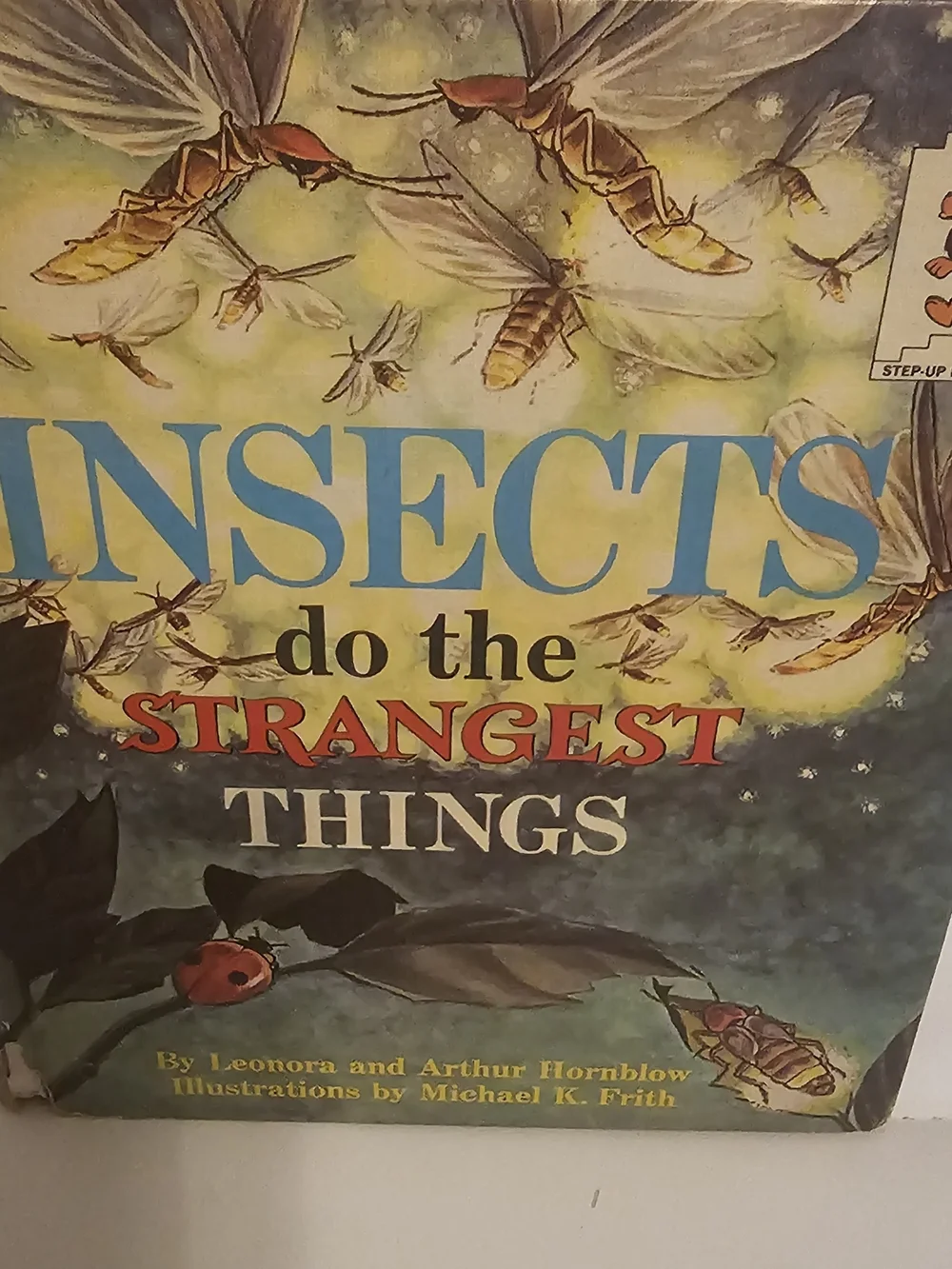 Antique Childrens Book Set